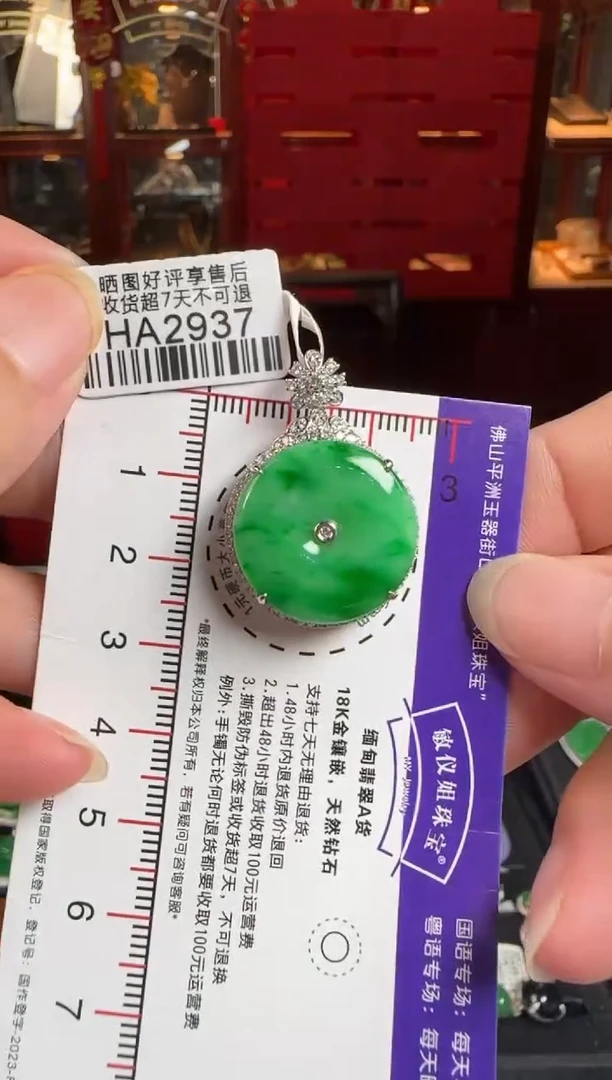 翡翠18K金镶嵌颈饰HA2937辣绿平安扣