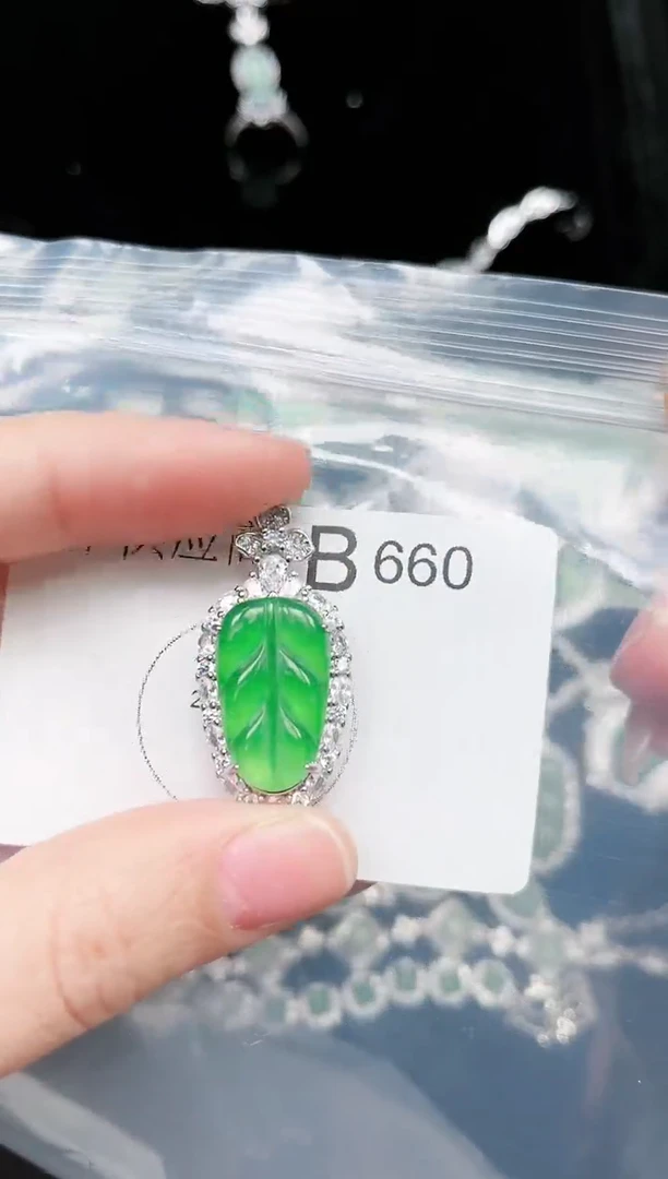【闪购商品】翡翠颈饰未镶嵌660赠皮绳