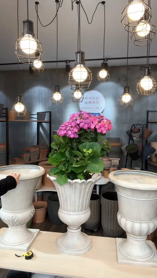 【闪购商品】塑料荷花，南瓜，叶子豪华杯各1只画眉白