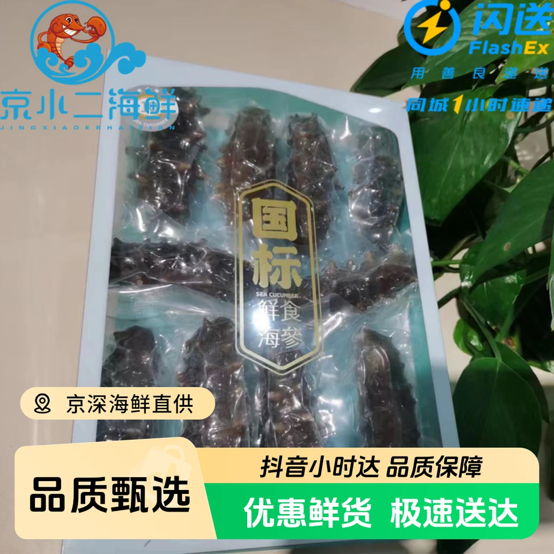 500g/盒 国标即食海参 泡发辽参 冷冻制品（多规格可选）