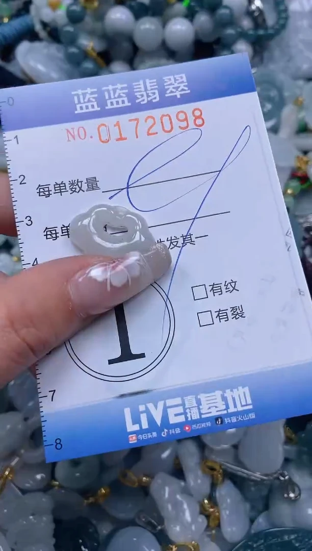 【闪购商品】翡翠颈饰未镶嵌闪购0172098