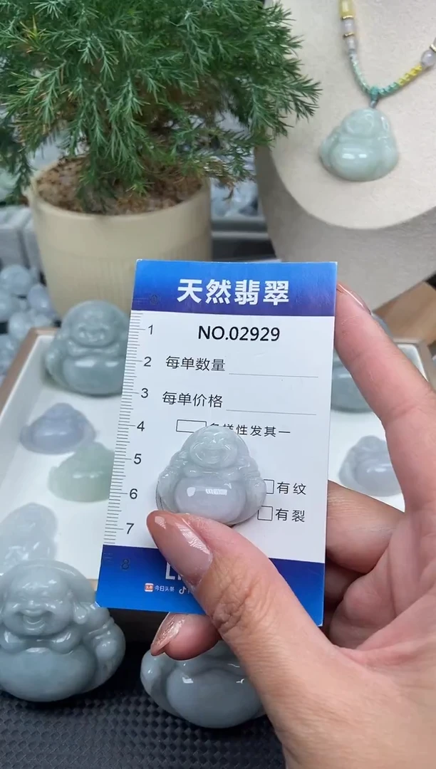 颈饰未镶嵌翡翠纯天然A货翡翠2929