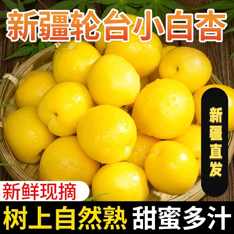 【新疆直发】正宗新疆轮台小白杏爆甜当季新鲜水果现摘现发新疆空运