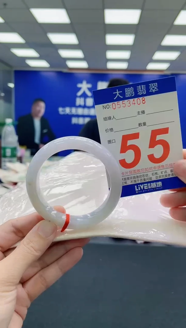 未镶嵌手镯翡翠AAAAAAAAA