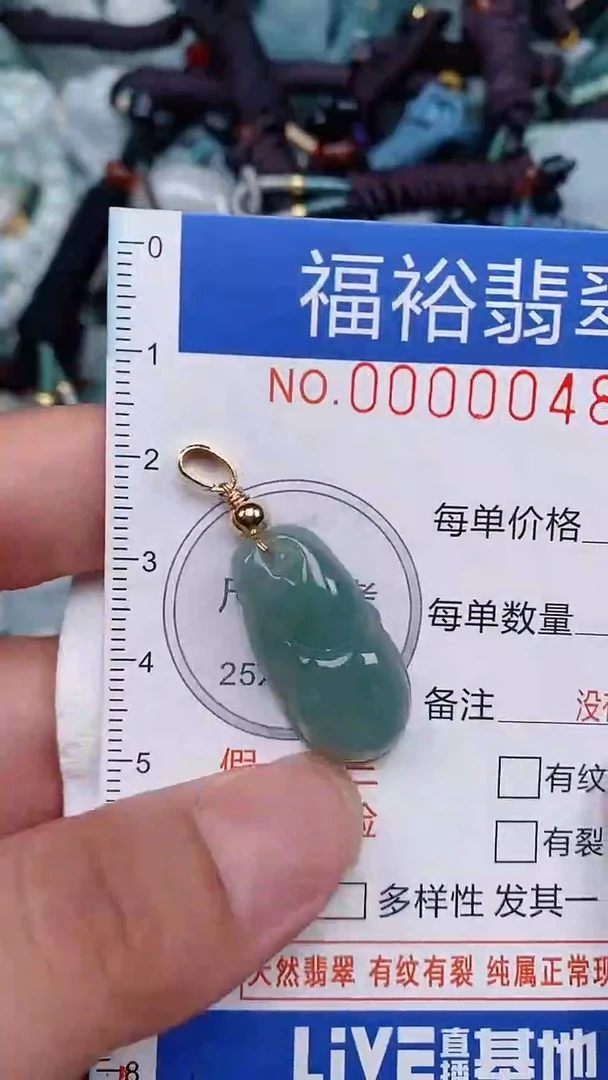 翡翠未镶嵌颈饰...0000048
