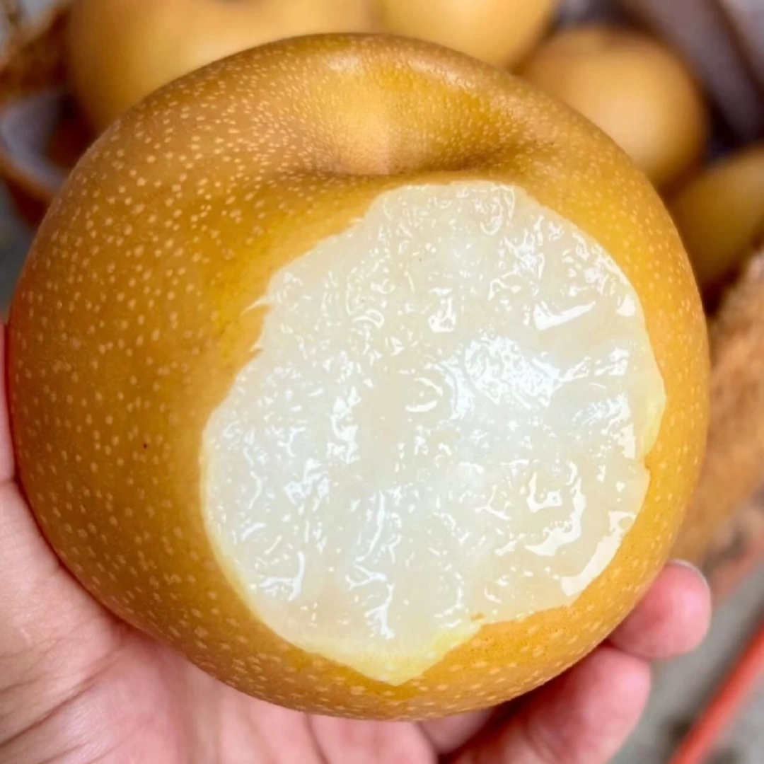 《顺丰包邮苗乡梨》新鲜当季现摘现发脆甜多汁细腻无渣水果