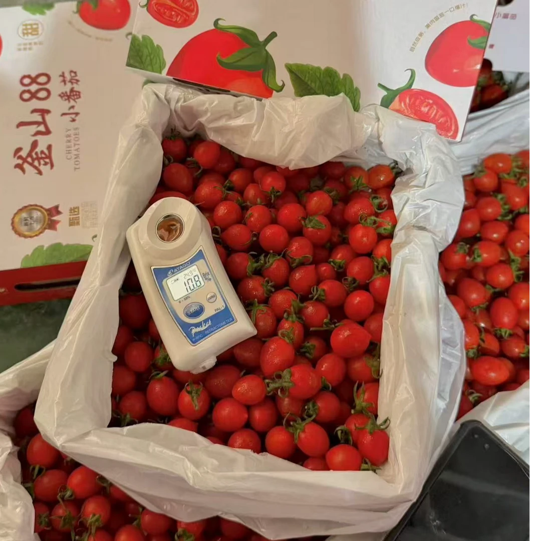 【顺丰送上门】玲珑小番茄净重1.7礼盒装当季新鲜水果圣女果广西壮族自治区