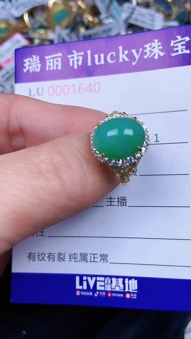 颈饰银S925镶嵌翡翠1640