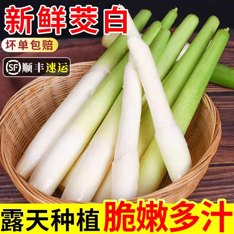 【顺丰包邮】云南鲜嫩高山茭白当季蔬菜现摘现发脆嫩多汁3/5斤