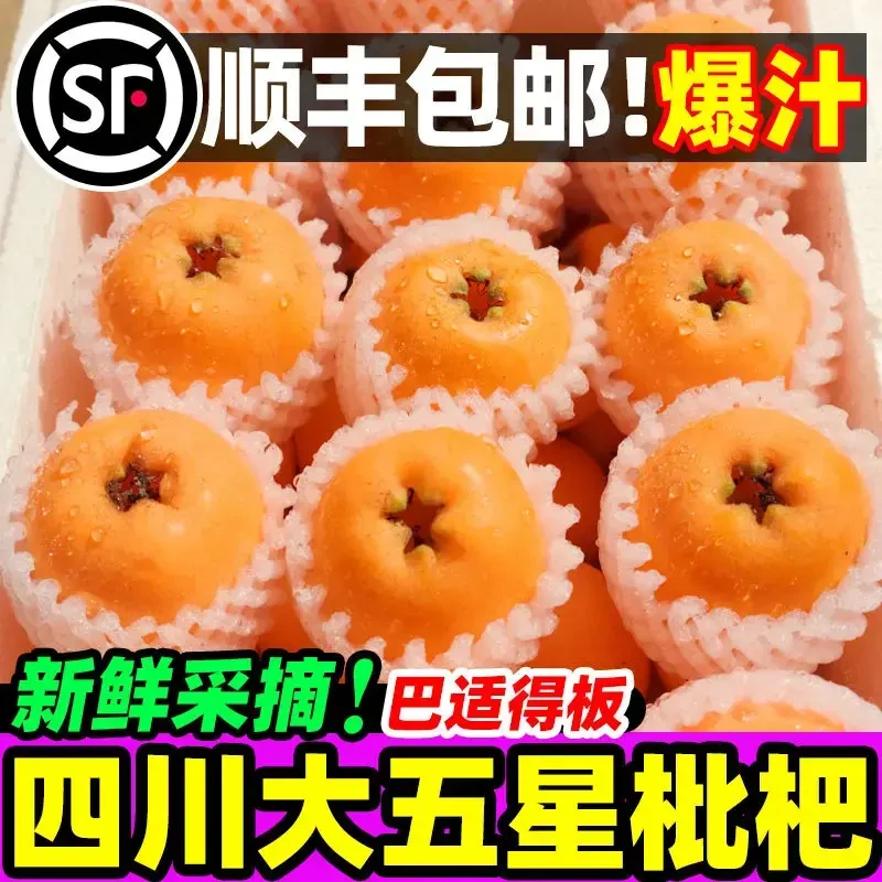 【顺丰冷链 次日达】四川米易大五星枇杷新鲜水果枇杷果当季现摘攀枝花高山甜琵琶批把净重3斤