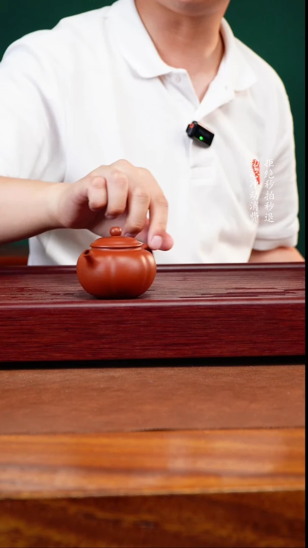 茶壶紫砂无*无垢紫砂 筋纹柿子