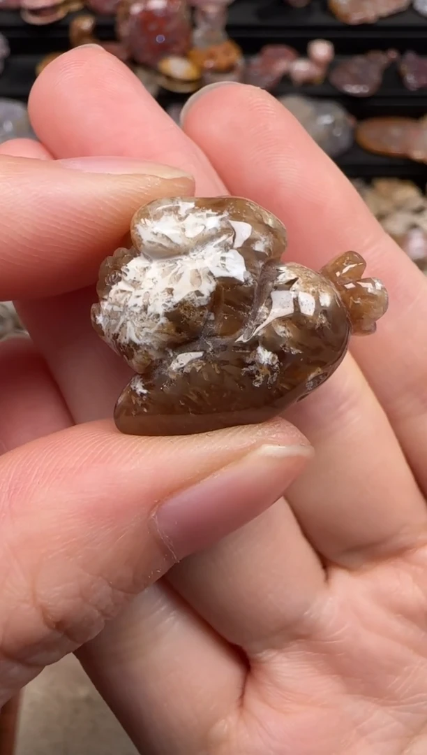 硅化珊瑚（珊瑚玉）未镶嵌颈饰304