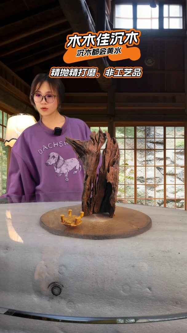 金*木木佳沉木鱼缸造景
