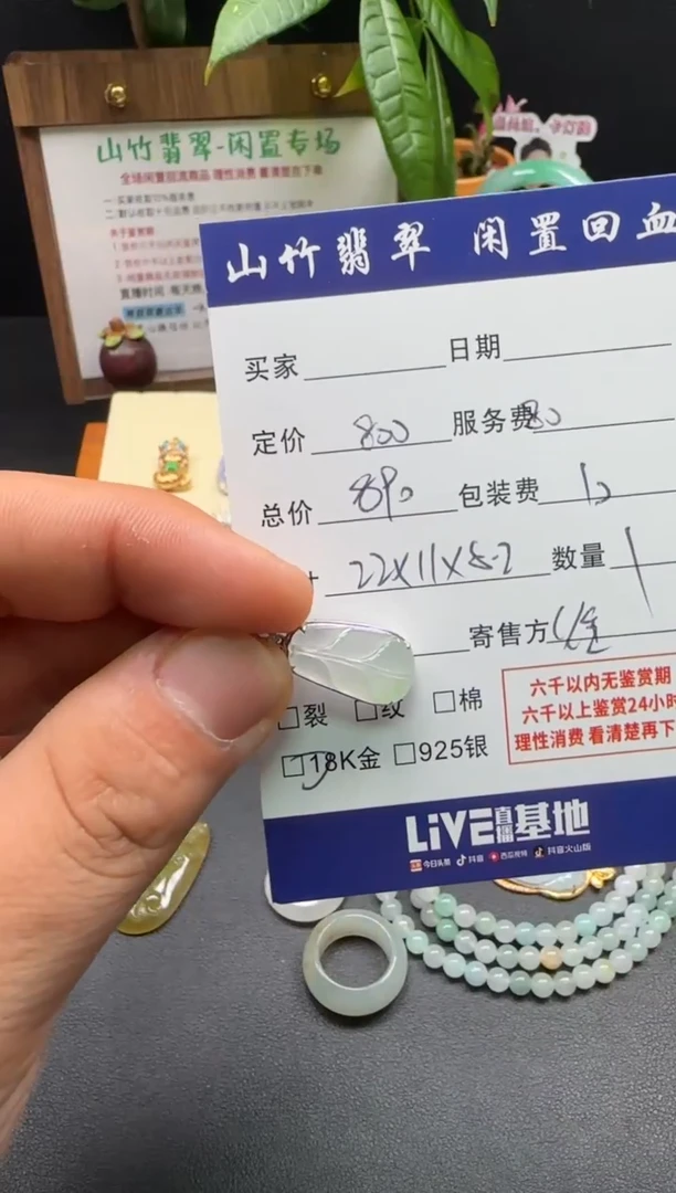 颈饰18K金镶嵌翡翠3002501