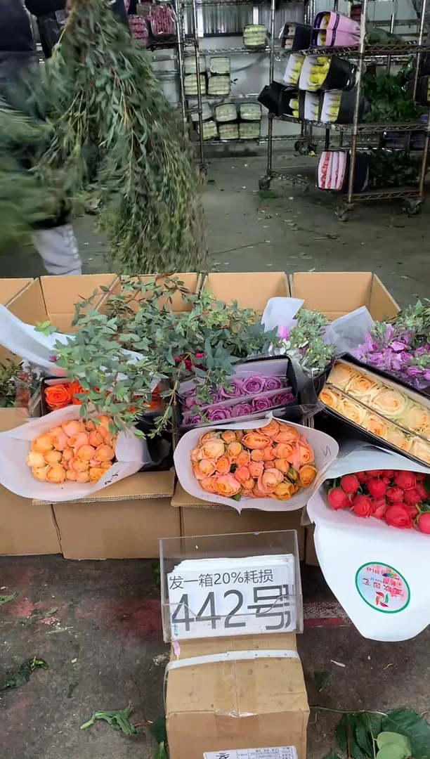 442号♥中通不指定随机颜色含20%耗损发一箱鲜花