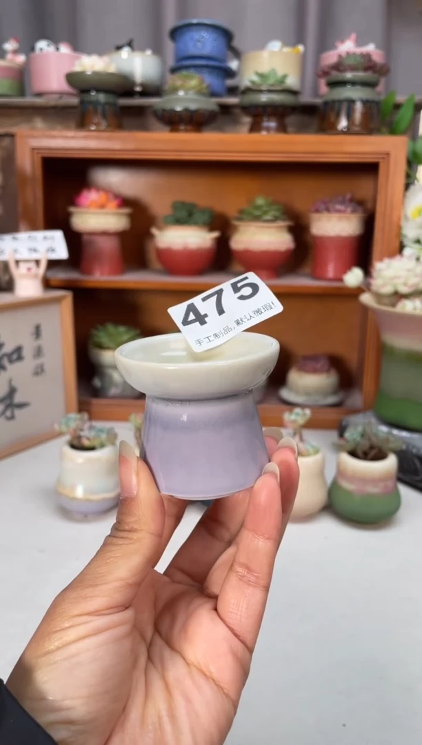 瓷片475小芳直播编号
