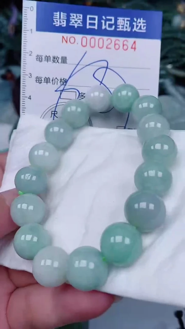 翡翠未镶嵌颈饰00002664