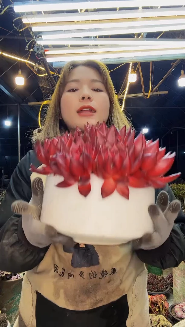 【闪购商品】10号一物一拍（物流自理）