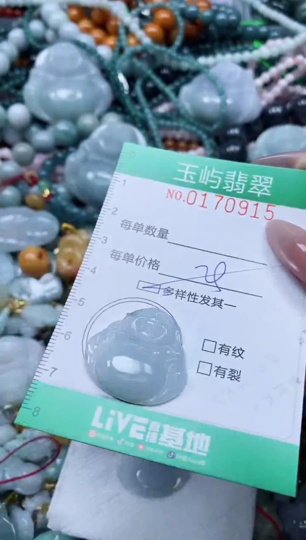 翡翠未镶嵌颈饰闪购0170915多样性发其一