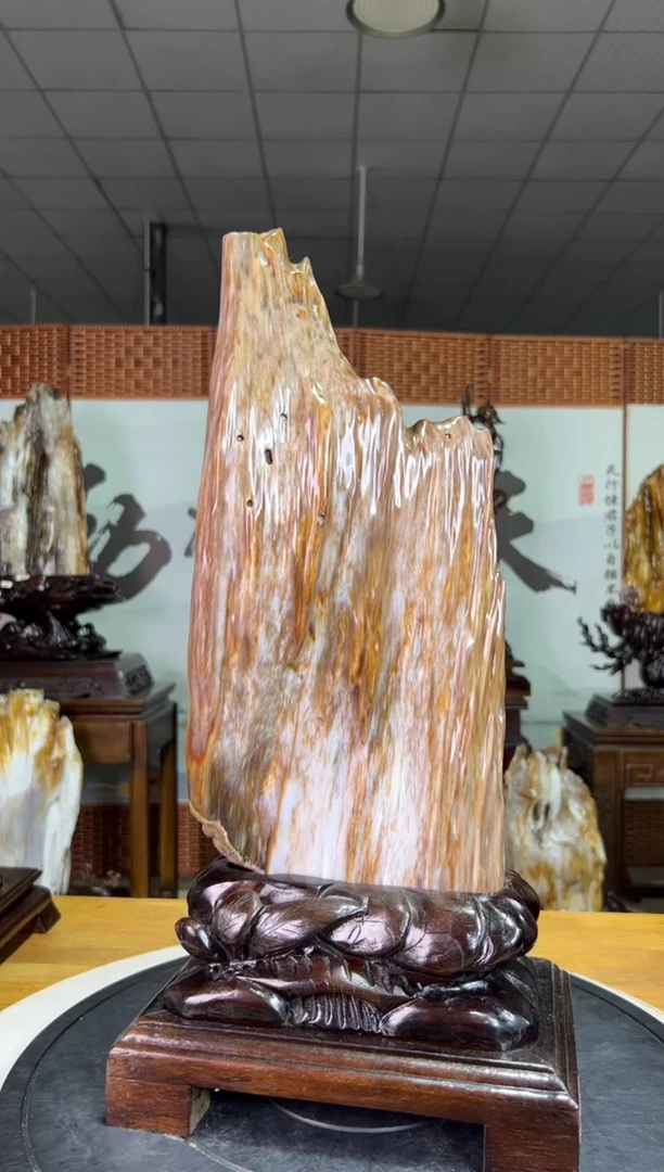 未镶嵌珠宝奇石硅化玉5