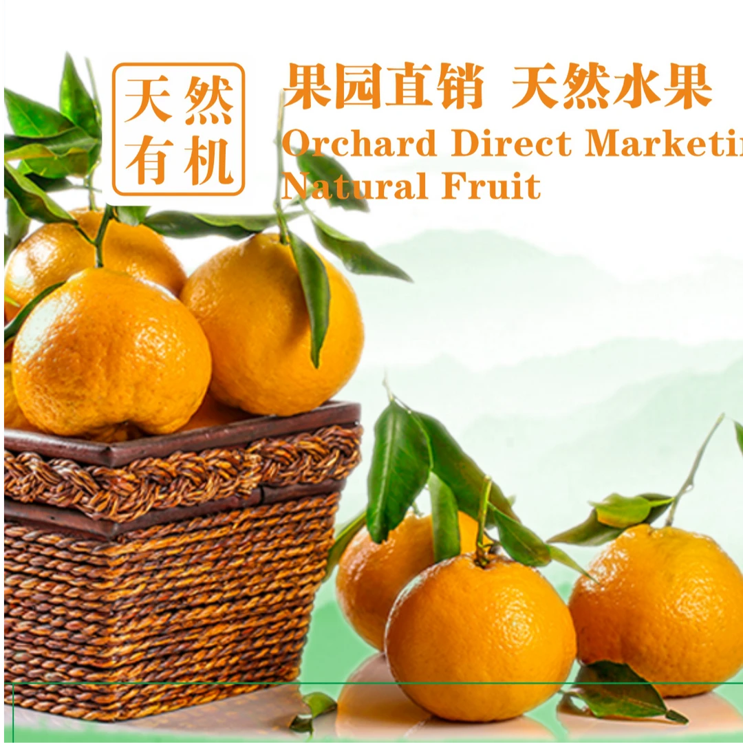 精品爆甜大雅柑，绿色健康食品，果园直发自然成熟5斤