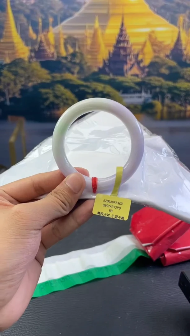 未镶嵌手镯翡翠9