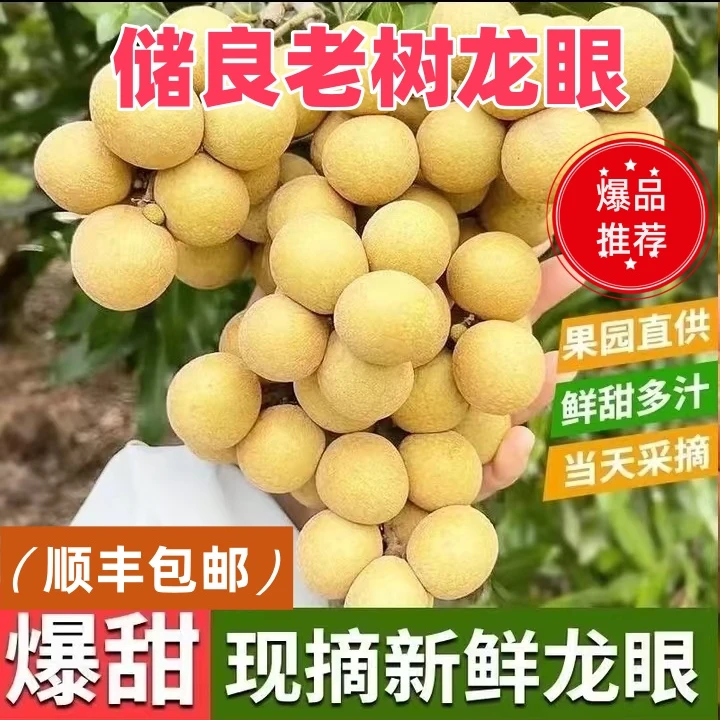【顺丰包邮】储良老树龙眼多仓发货应季果园产地现摘现发广东次日达