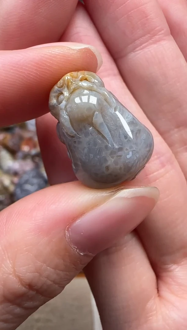 颈饰未镶嵌硅化珊瑚（珊瑚玉）728