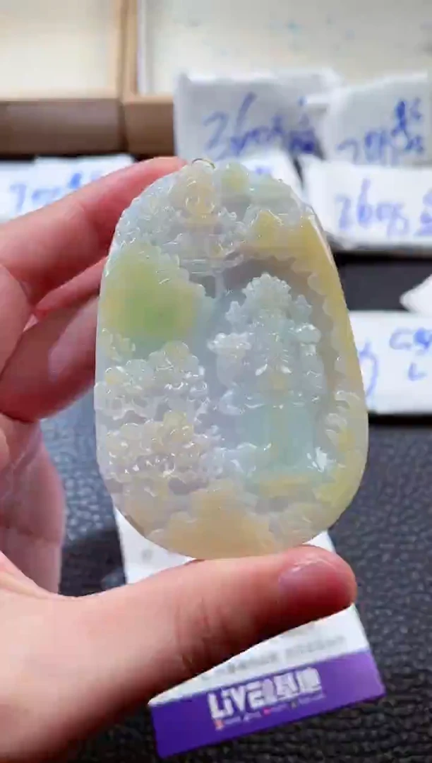 翡翠未镶嵌颈饰00004762