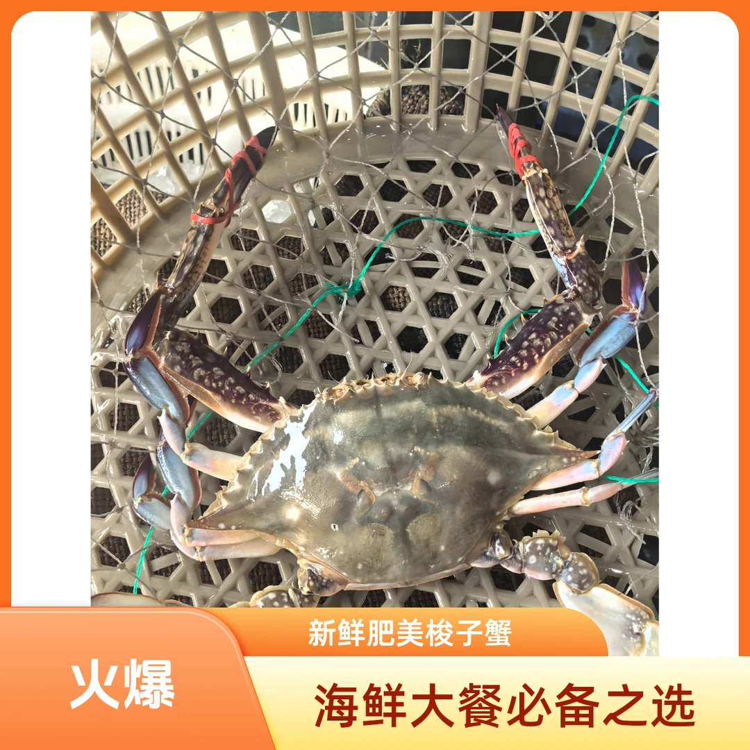 [保鲜不保活】鲜活 【保鲜不保活】   公蟹4两左右一只   净重4斤