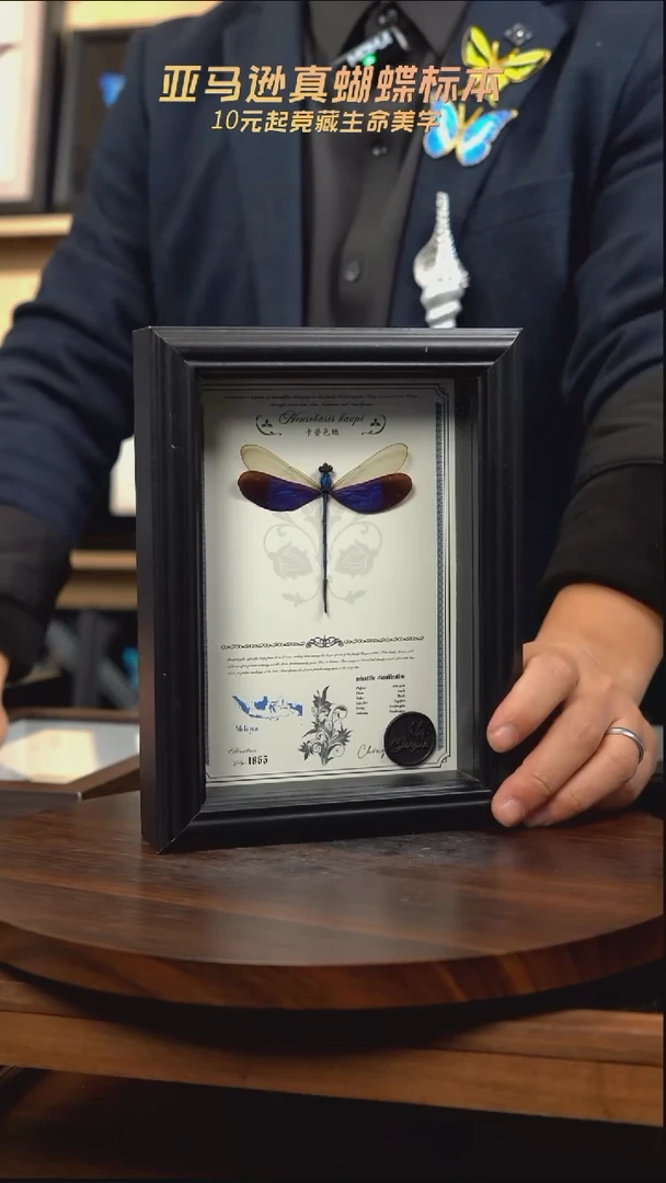 卡普色蟌7寸黑框