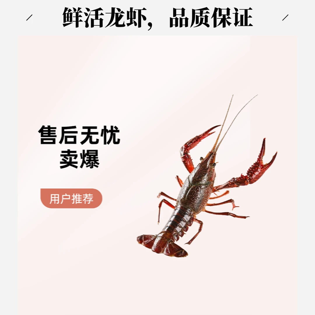 鲜活清水小龙虾（中号）1斤小龙虾制品小龙虾制品小龙虾制品