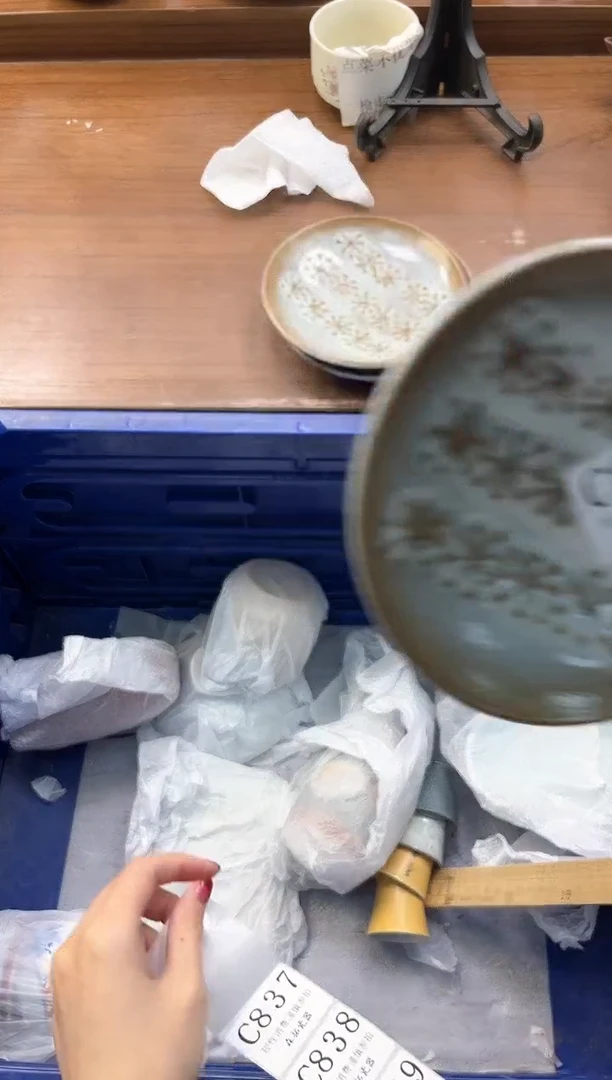 【闪购商品】瓷片----------C835