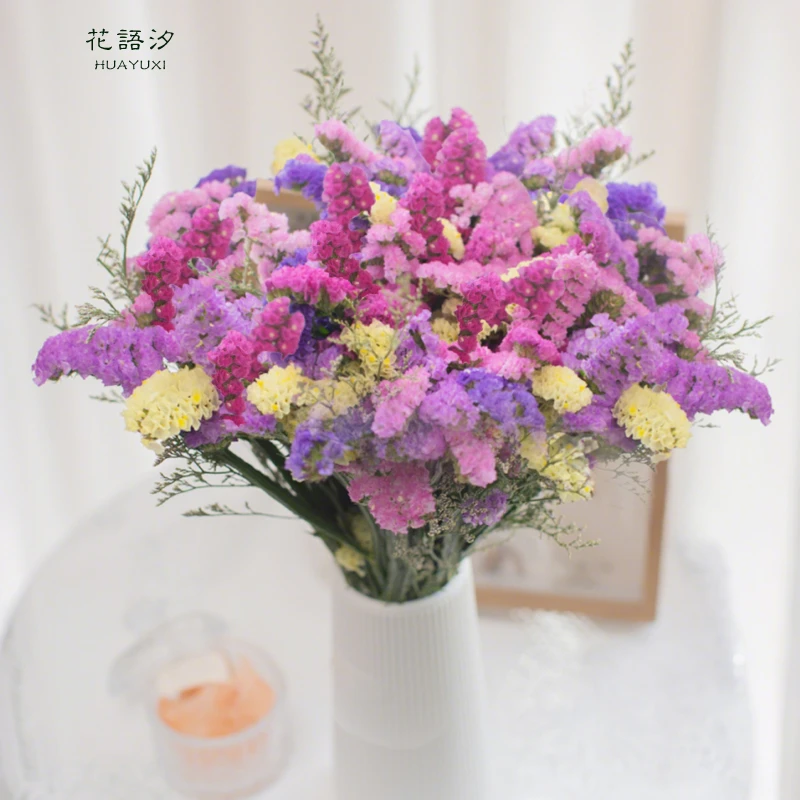 【送花瓶】云南基地勿忘我半干花真花风干花鲜艳客厅装饰摆件插画