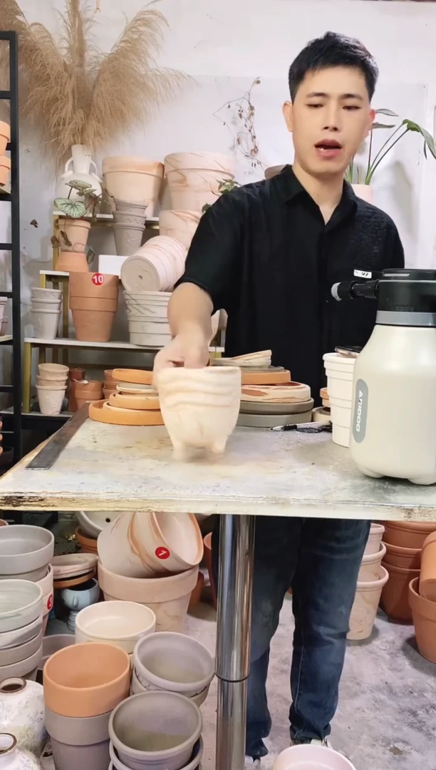 11*11玛奇朵蛋壳 1盆无托