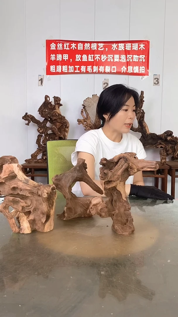 香榧木姑****婴金丝红木   羊蹄甲