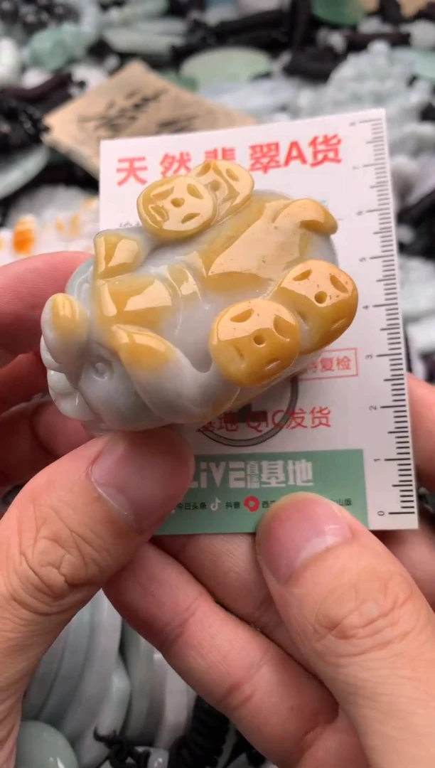 翡翠未镶嵌吊坠(不含链)1