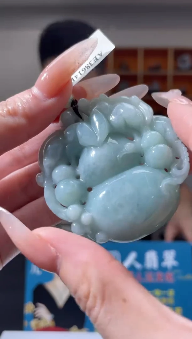 翡翠未镶嵌颈饰Z-@@BSGC060108多样性发其一