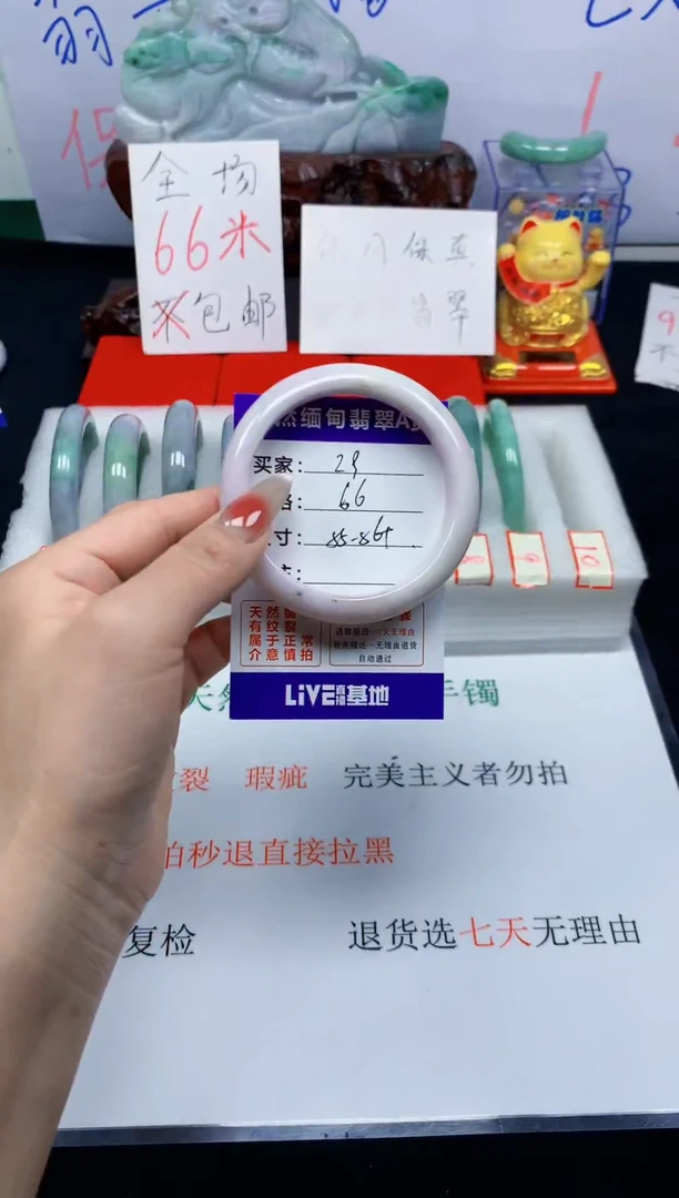 未镶嵌手镯翡翠29