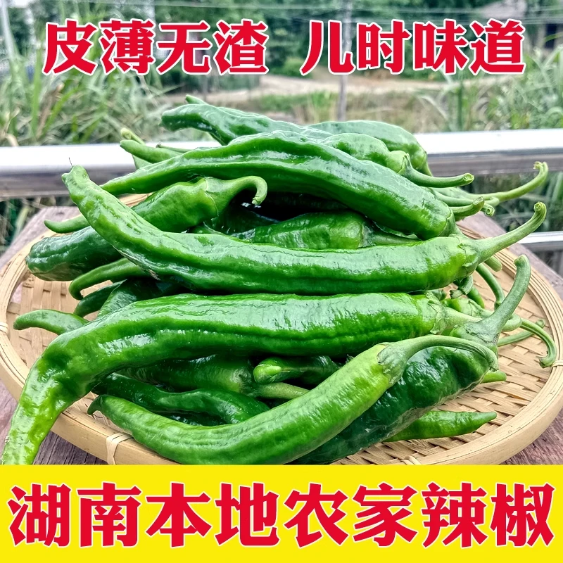 湖南本地土辣椒新鲜薄皮椒青椒时令蔬菜农家自种辣椒中辣皱皮椒