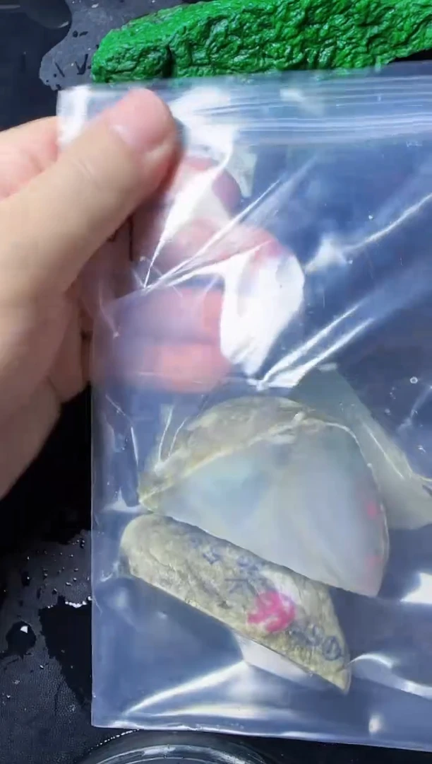 【闪购商品】翡翠颈饰未镶嵌109翡翠