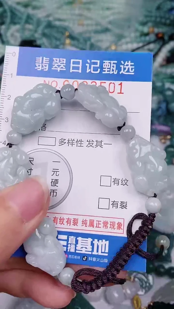 【闪购商品】翡翠颈饰未镶嵌00003501