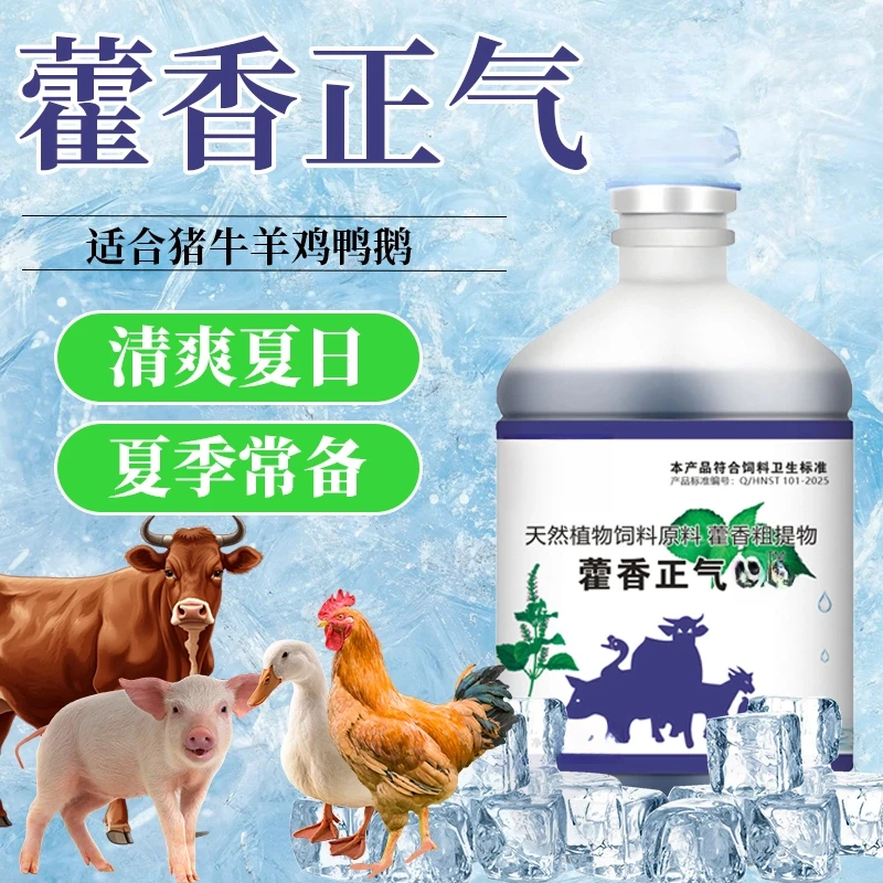 藿香正气剂鸡鸭鹅鸽猪牛羊通用家禽夏日冰爽VC兽用饲料添加剂