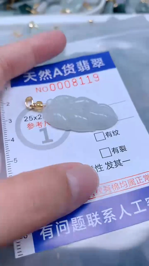 翡翠未镶嵌吊坠(不含链)1