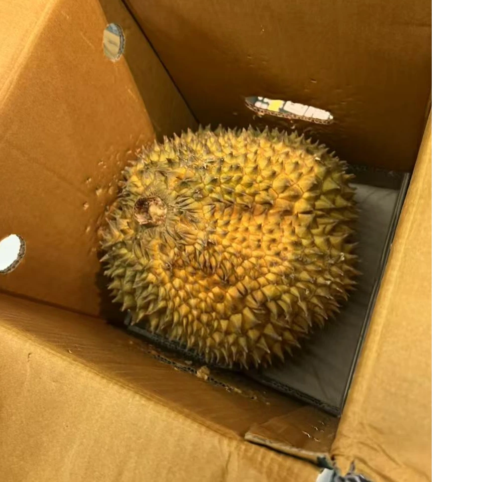 【榴莲盲盒】泰国树熟金枕榴莲/1个 【不低于10斤】【包甜、包糯、包售后】