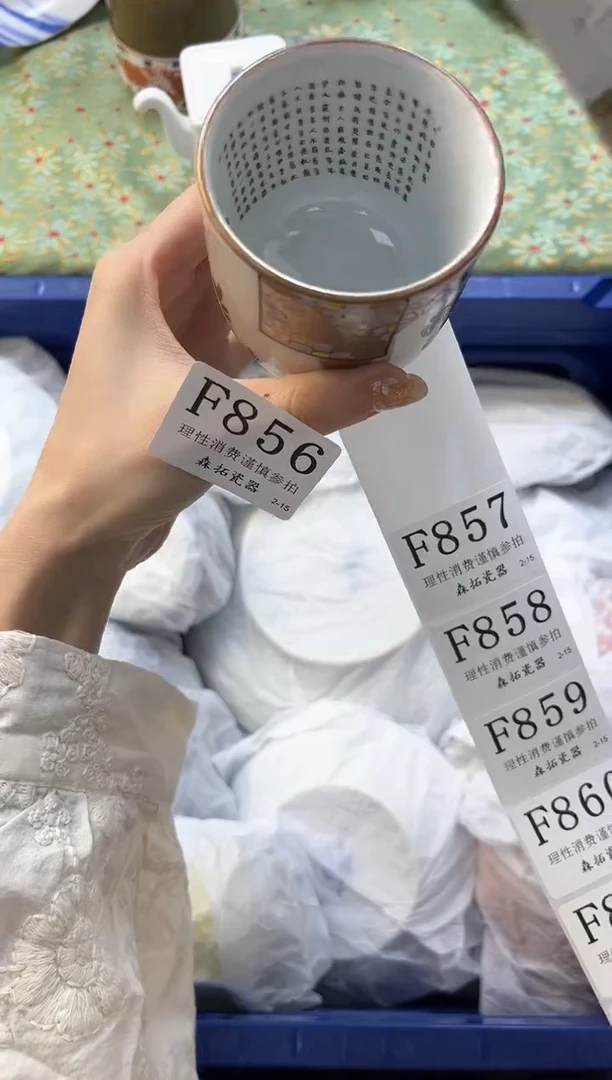 【闪购商品】瓷片          F856