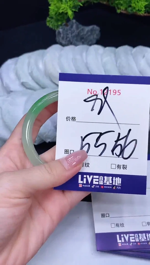 未镶嵌手镯翡翠12195