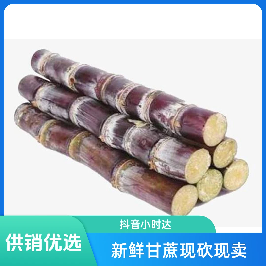 新鲜红皮甘蔗1根