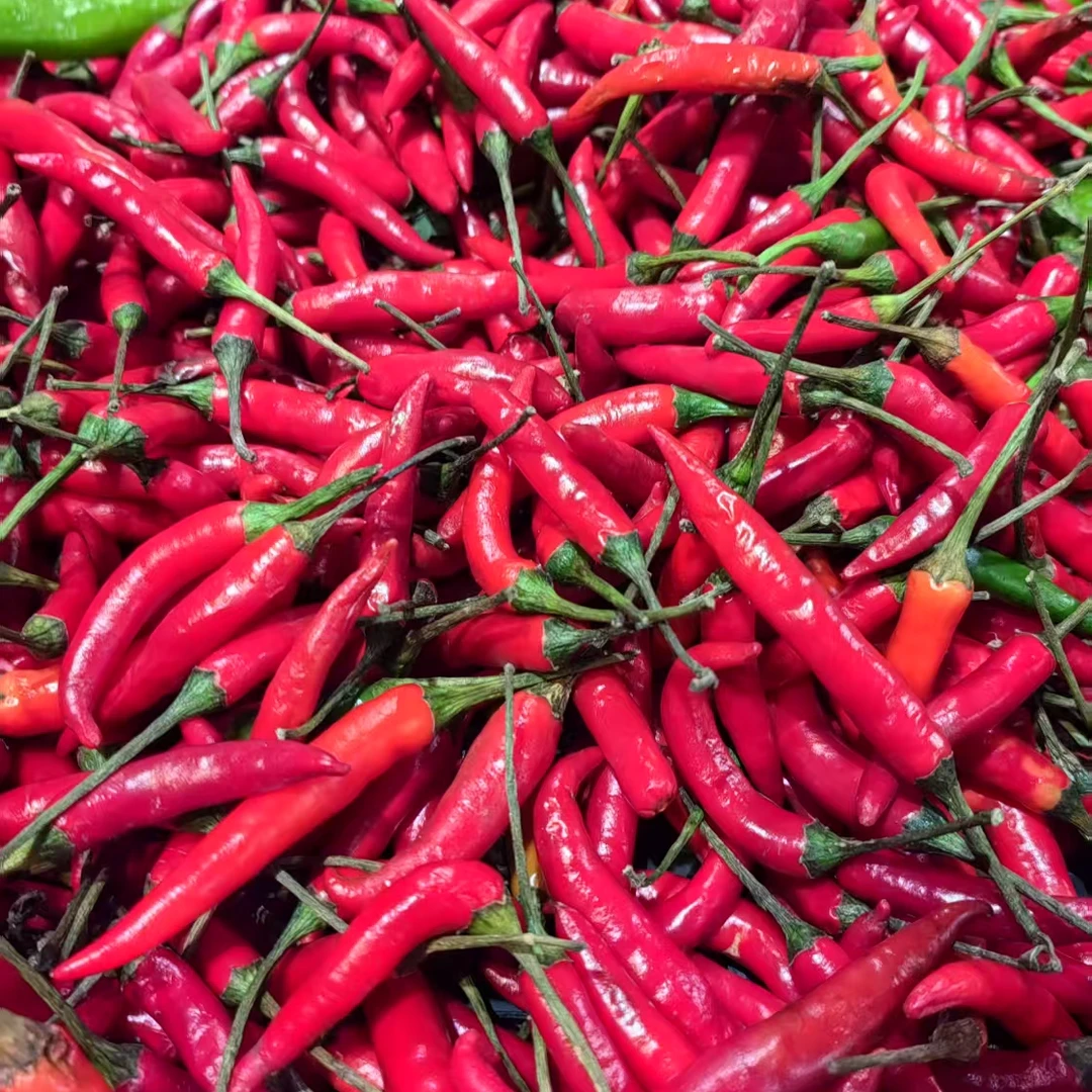 小米辣 劲辣 420g±20g （辣椒）