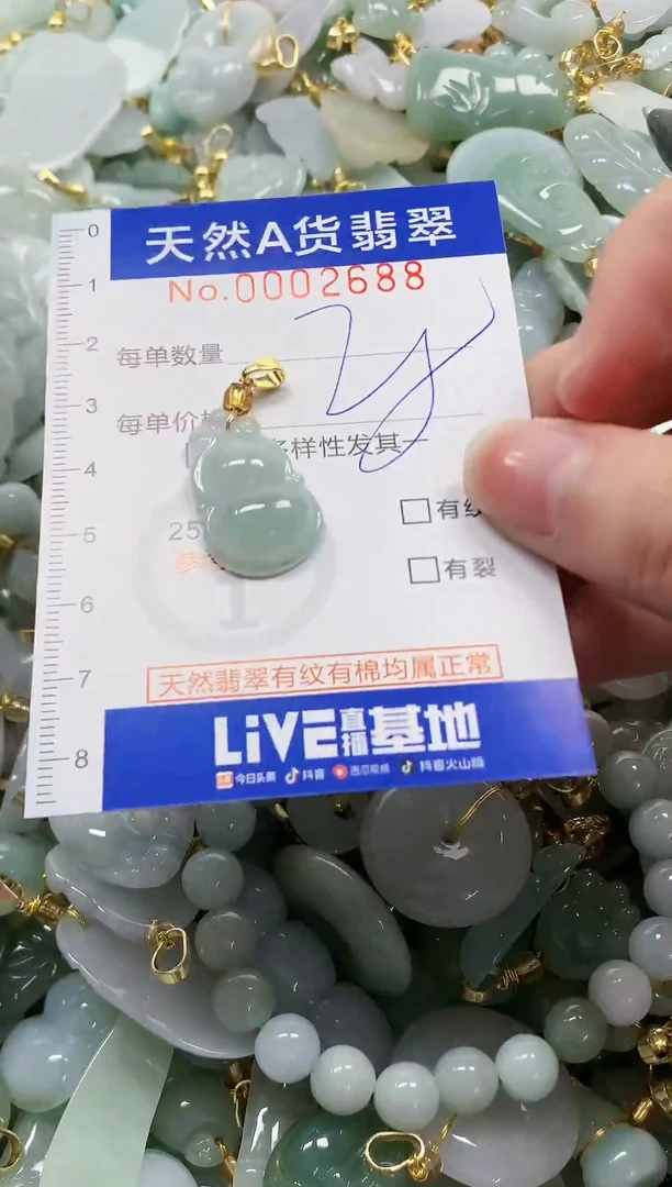 颈饰未镶嵌翡翠纯天然a货翡翠